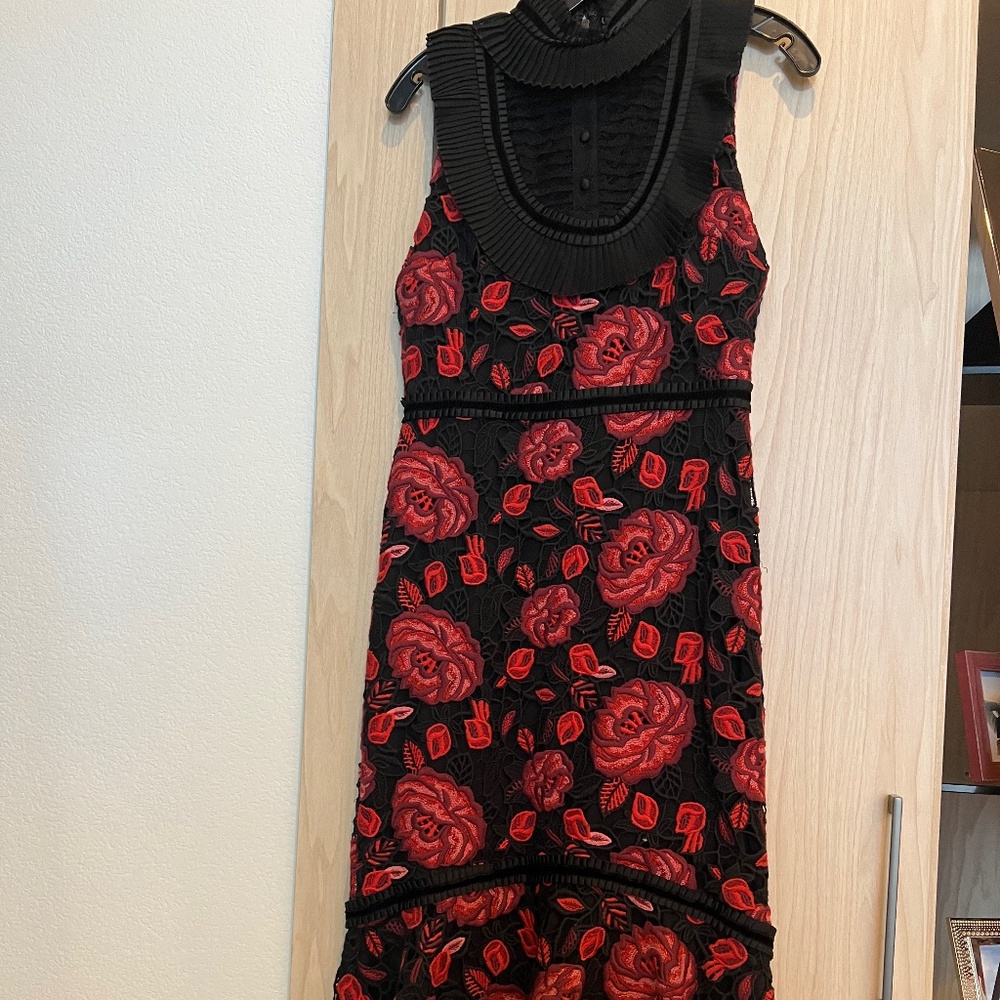 Alice and Olivia Dress